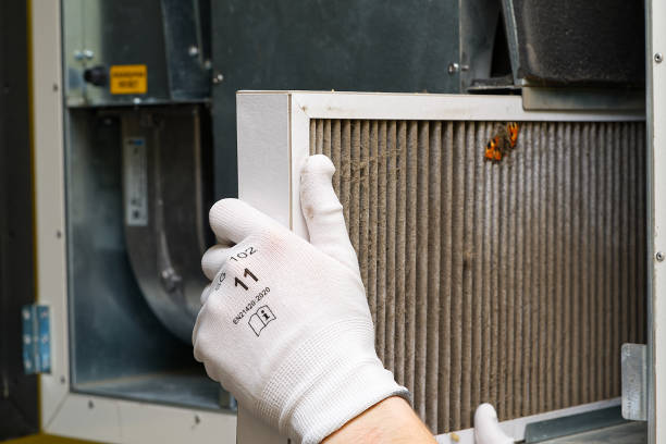 Best Residential Air Duct Cleaning  in Avalon, CA
