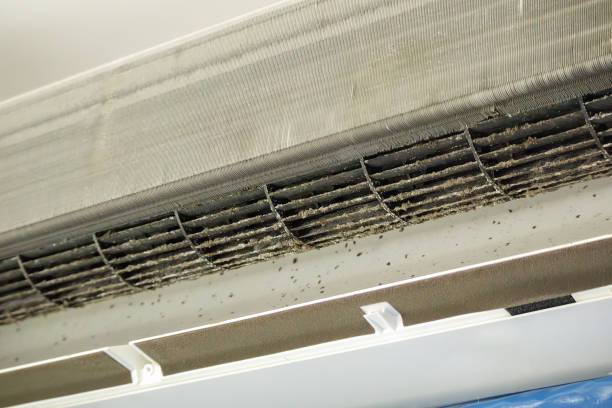 Best Home Air Vent Cleaning  in Avalon, CA